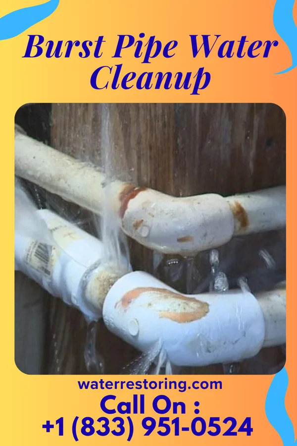 Burst Pipe Water Cleanup in Horse Cave, KY