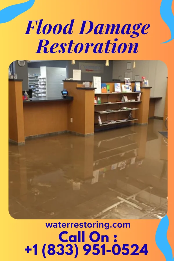 Flood Damage Restoration in Horse Cave, KY