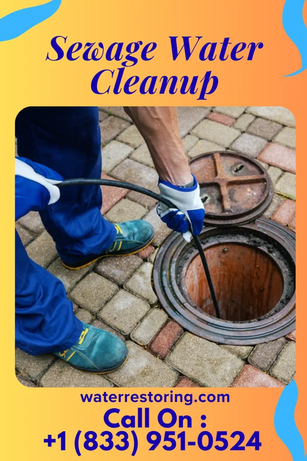 Sewage Water Cleanup in Horse Cave, KY